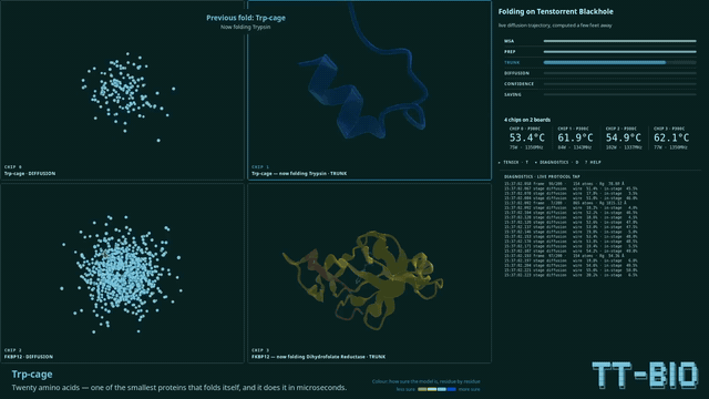 tt-bio-demo booth app — a protein folding from noise into its structure live on Blackhole, with confidence coloring and a Tensix core grid